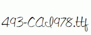 fonts 493-CAI978.ttf