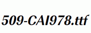 fonts 509-CAI978.ttf