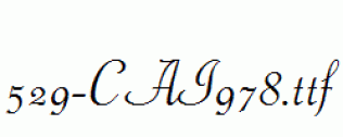 fonts 529-CAI978.ttf