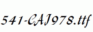 fonts 541-CAI978.ttf