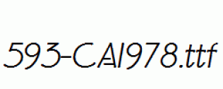 fonts 593-CAI978.ttf