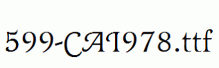 fonts 599-CAI978.ttf