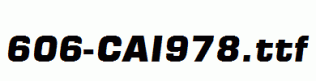 fonts 606-CAI978.ttf
