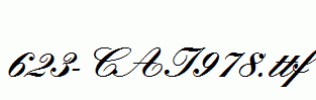fonts 623-CAI978.ttf