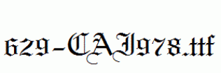 fonts 629-CAI978.ttf