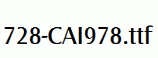 fonts 728-CAI978.ttf