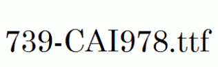 fonts 739-CAI978.ttf