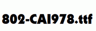 fonts 802-CAI978.ttf