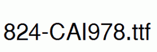 fonts 824-CAI978.ttf