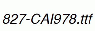 fonts 827-CAI978.ttf