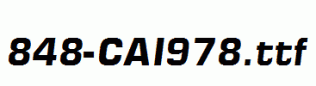 fonts 848-CAI978.ttf