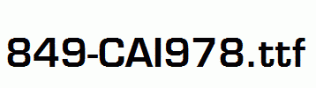 fonts 849-CAI978.ttf