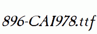 fonts 896-CAI978.ttf