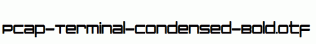 PCap-Terminal-Condensed-Bold.otf