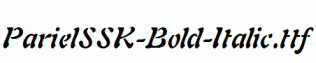 ParielSSK-Bold-Italic.ttf