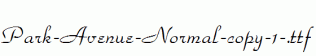 Park-Avenue-Normal-copy-1-.ttf