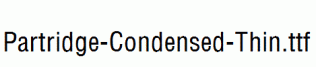 Partridge-Condensed-Thin.ttf
