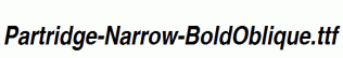 Partridge-Narrow-BoldOblique.ttf