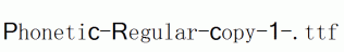 Phonetic-Regular-copy-1-.ttf