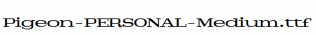 Pigeon-PERSONAL-Medium.ttf