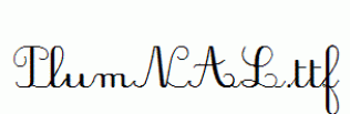 PlumNAL.ttf