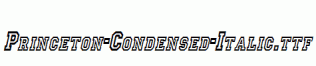 Princeton-Condensed-Italic.ttf