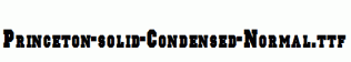 Princeton-solid-Condensed-Normal.ttf