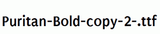 Puritan-Bold-copy-2-.ttf