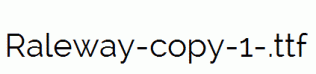 Raleway-copy-1-.ttf