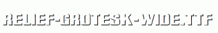 Relief-Grotesk-Wide.ttf