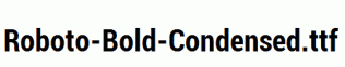 Roboto-Bold-Condensed.ttf