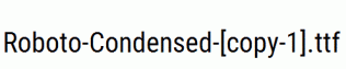 Roboto-Condensed-[copy-1].ttf