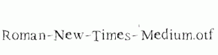 Roman-New-Times-Medium.otf