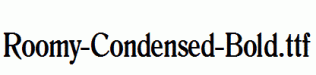 Roomy-Condensed-Bold.ttf