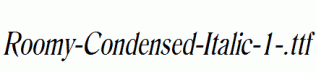 Roomy-Condensed-Italic-1-.ttf