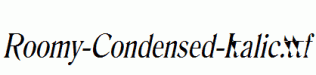 Roomy-Condensed-Italic.ttf