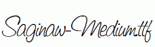 Saginaw-Medium.ttf