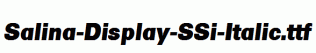 Salina-Display-SSi-Italic.ttf