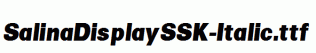 SalinaDisplaySSK-Italic.ttf