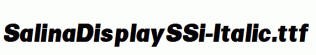SalinaDisplaySSi-Italic.ttf