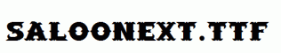 SaloonExt.ttf