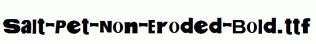 Salt-Pet-Non-Eroded-Bold.ttf
