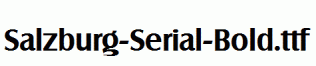 Salzburg-Serial-Bold.ttf
