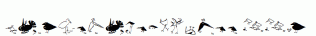 SaulsRandomBirds.ttf