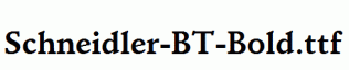 Schneidler-BT-Bold.ttf