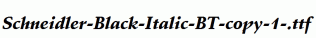 Schneidler-Black-Italic-BT-copy-1-.ttf