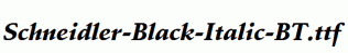 Schneidler-Black-Italic-BT.ttf