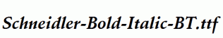 Schneidler-Bold-Italic-BT.ttf