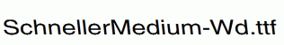 SchnellerMedium-Wd.ttf