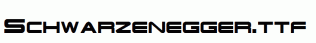 Schwarzenegger.ttf